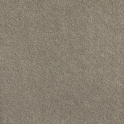 Sheer Bliss | Premium SDN | Belgotex Carpet & Flooring