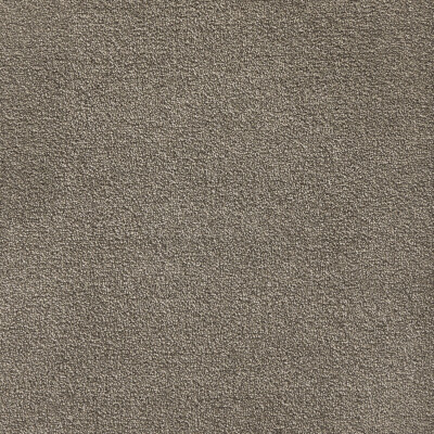 Sheer Bliss | Premium SDN | Belgotex Carpet & Flooring