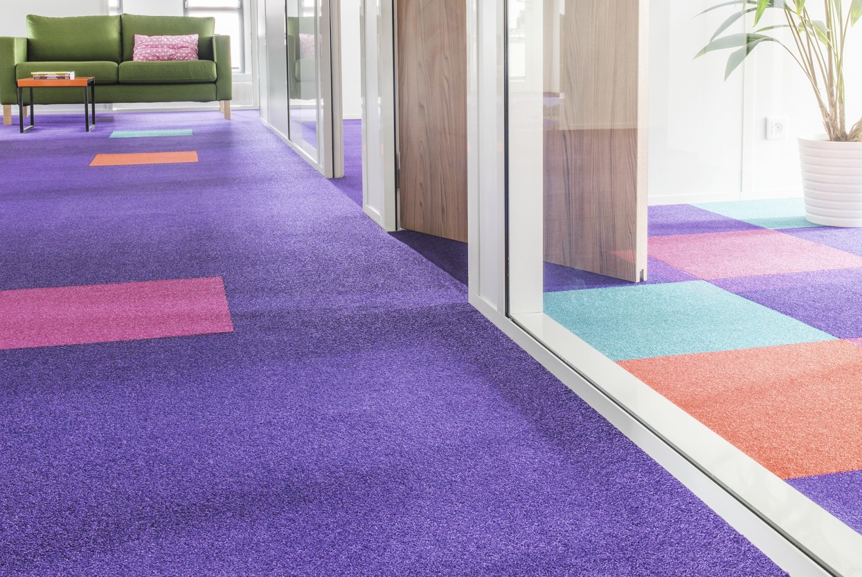 300 dpi 401A RoomSet carpet BOLERO SONIC CONFORT 155 485 555 895 PURPLE 2 2 web